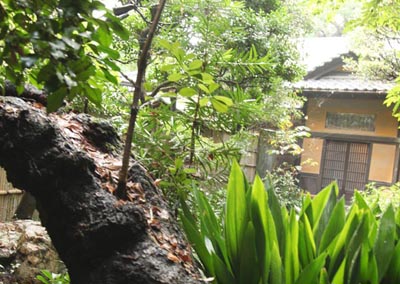 Tokio - čtyřicetimilionová megapole není jen betonová džungle