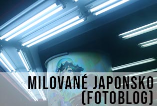 krásné stylové a poetické Japonsko