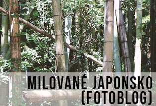 krásné stylové a poetické Japonsko