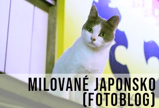 krásné stylové poetické Japonsko