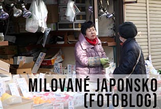 krásné stylové a poetické Japonsko