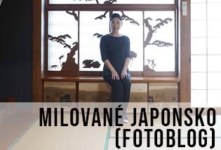 krásné stylové a poetické Japonsko
