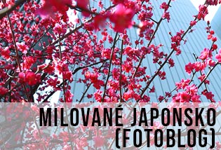 krásné stylové a poetické Japonsko