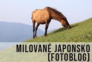 krásné stylové a poetické Japonsko