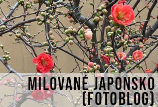 krásné stylové a poetické Japonsko