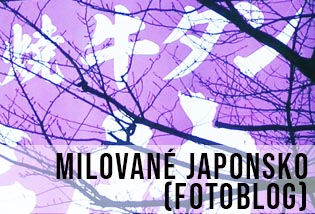 krásné stylové a poetické Japonsko