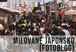 krásné stylové a poetické Japonsko