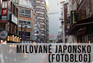 krásné stylové a poetické Japonsko