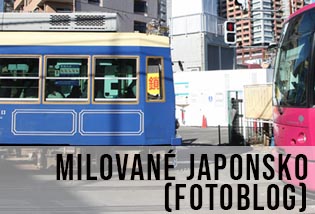 krásné stylové a poetické Japonsko