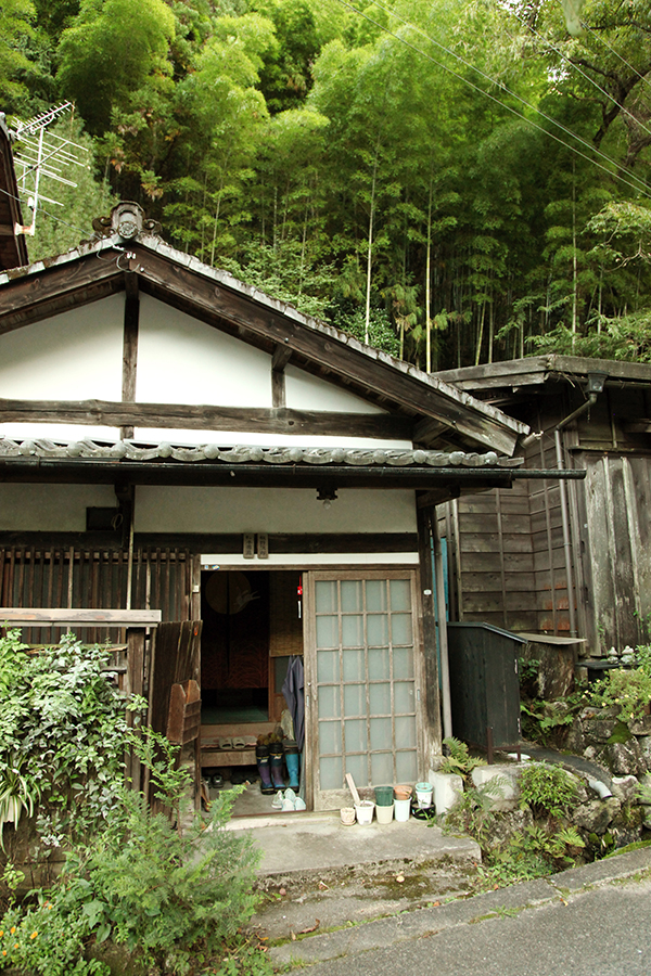 Foto Petr Horčička Japonský venkov bambusový háj Japonsko