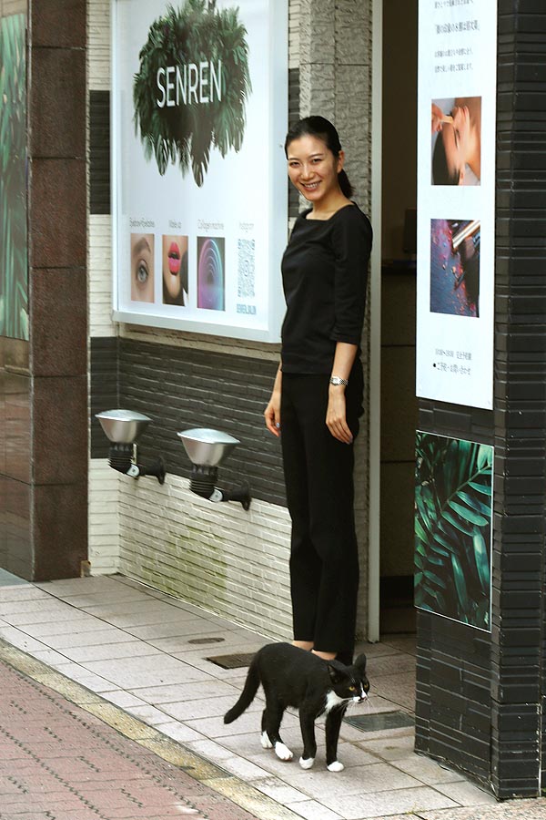 Kočky japonské - Fotografie Petr Horčička