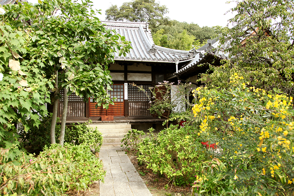 Japonská kultura bydlení - Foto Petr Horčička