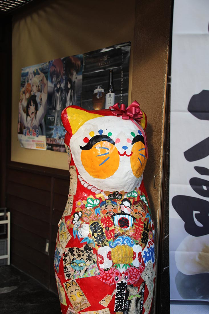 Foto Petr Horčička - Japonská kočka