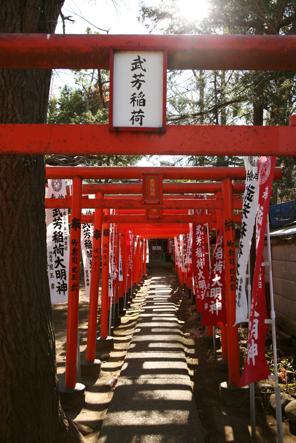 Japonská brána tori. Foto Petr Horčička