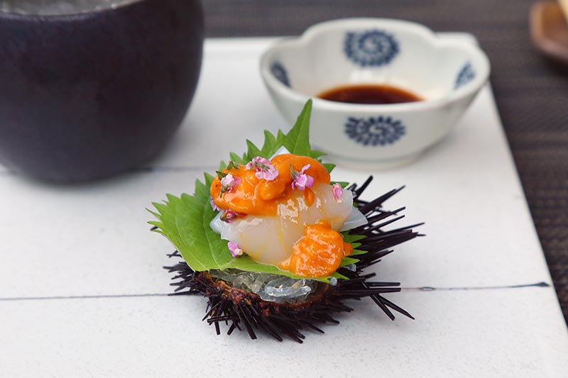 sašimi z mořského ježka - japonská gastronomie