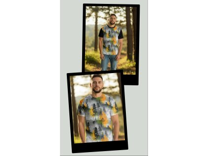 Pánské tričko podzimní motiv  Pánské tričko