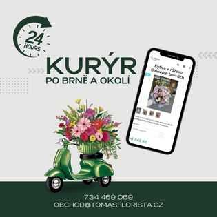 Kurýr po Brně, vlastní rozvoz po Brně a okolí