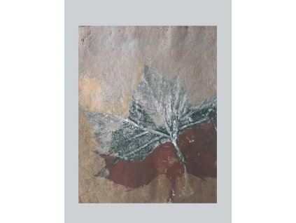 monotyp 0017