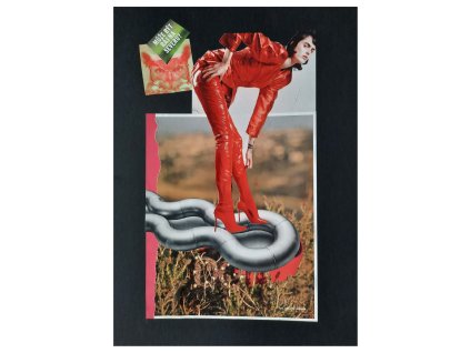 fashioncollage 18
