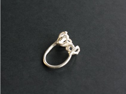 ring nettuna 07 01