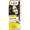 Palette Color Shampo barva na vlasy Černý 113 50ml