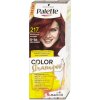 Palette Color Shampo barva na vlasy Mahagonový 217 50ml