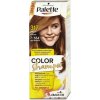 Palette Color Shampo barva na vlasy Oříškově plavý 317 50ml