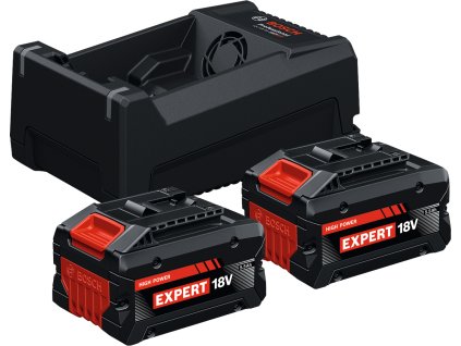 GAL 12V 18V 80 2xEXBA 18V 5 5Ah EXPERT AMPShare SOS 1600A0373P (3)
