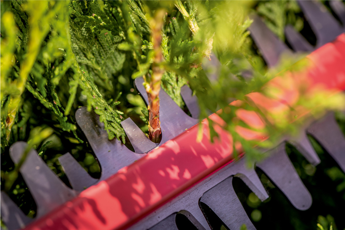 Metabo HS 18 LTX 55 601718850