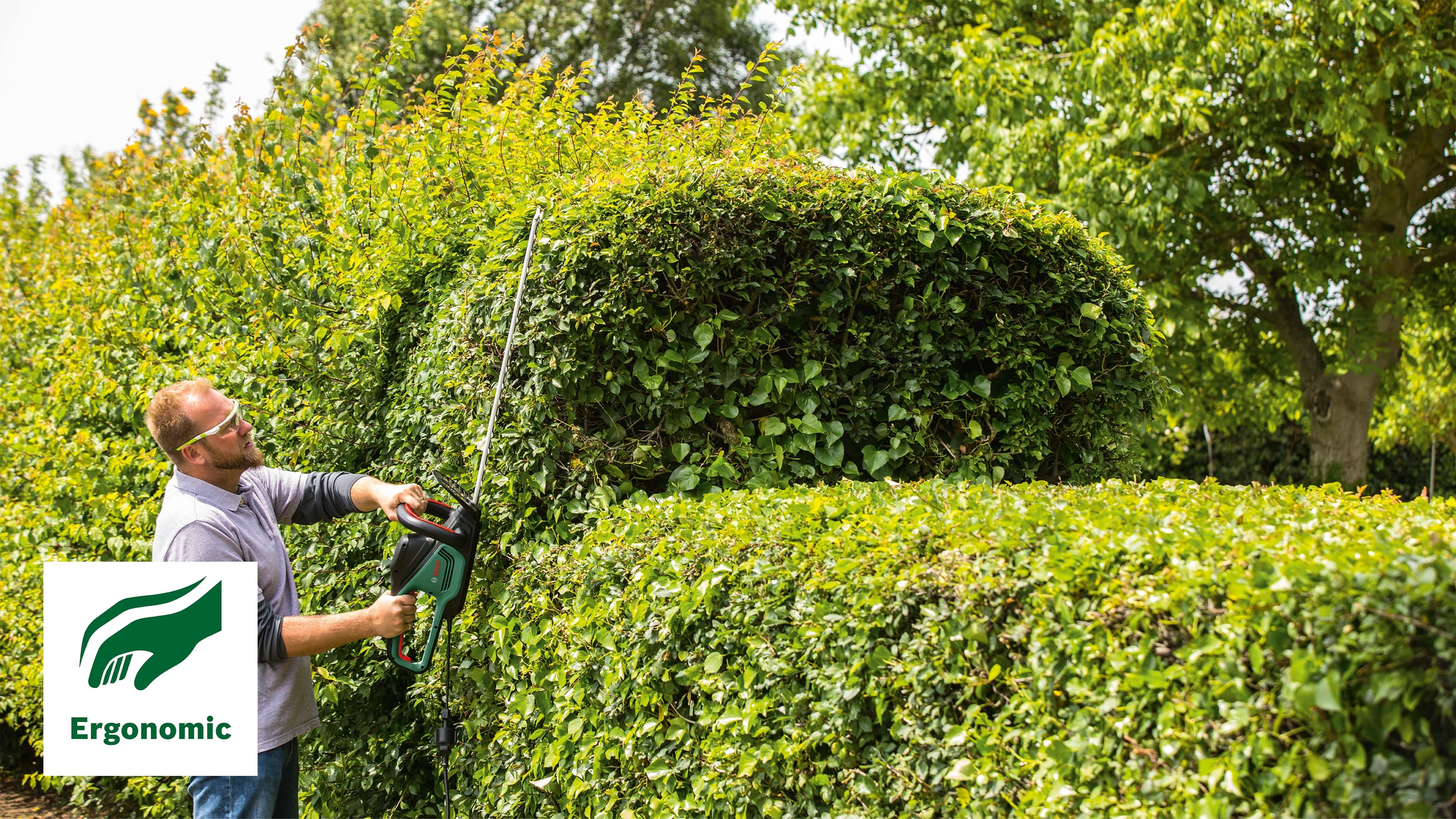 Bosch AdvancedHedgeCut 65 06008C0801