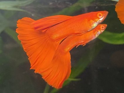 E132F8CC 17B6 47A8 95B4 03572E9E57D2