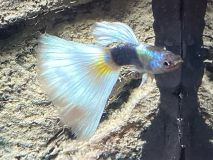 7C2B34DF 0B87 434F 9D78 8DFA0167D959