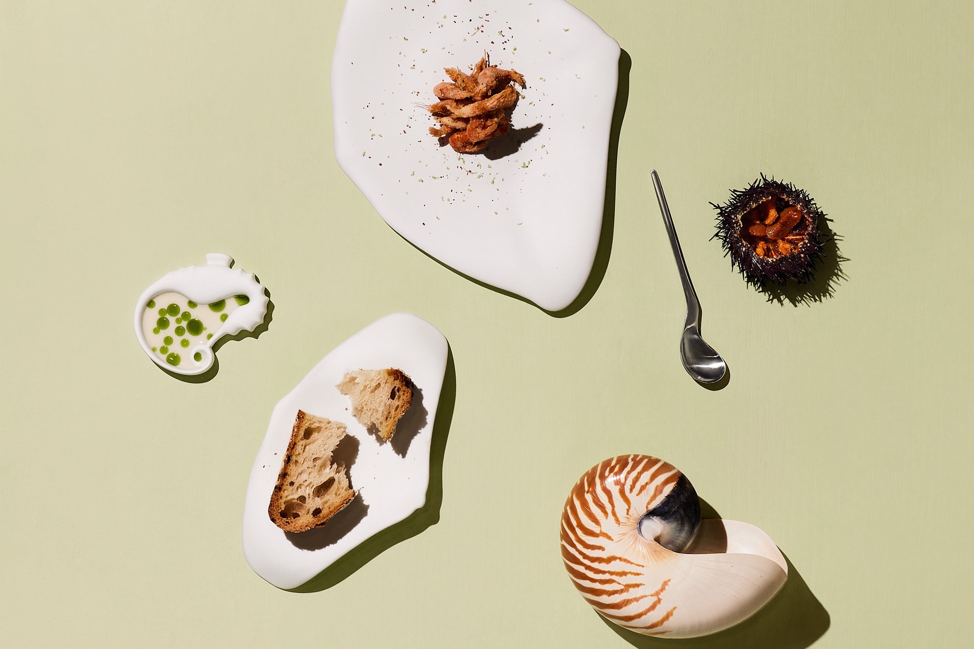 Kolekce Cookplay Oceancook