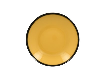 vyr 11672 LENNDP23NY