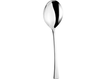 Curve lžíce servírovací 24,5 cm