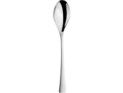 Curve lžíce jídelní 21 cm