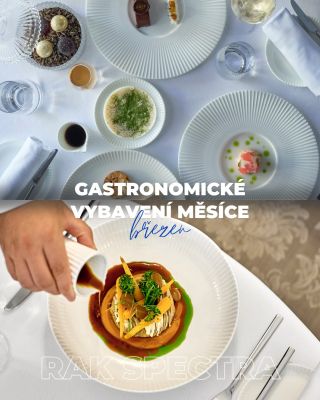 Gastro vybavení měsíce březen | RAK Spectra, Bone China Bone China patří mezi nejvyšší standard porcelánu v profesionální...