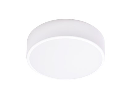 Stropné LED svietidlo OVO, 24W, 4000K, 2750lm, biela oceľ, matné sklenené tienidlo, IP20, ? 300