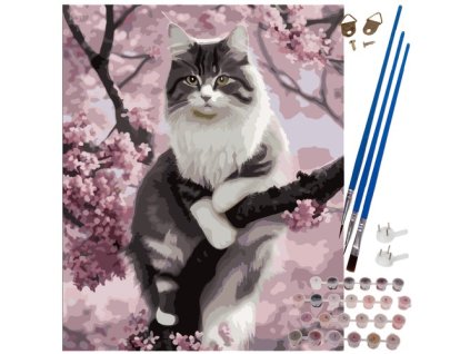 Maľovanie podľa čísel 40x50cm - Mačiatko Maaleo 22783