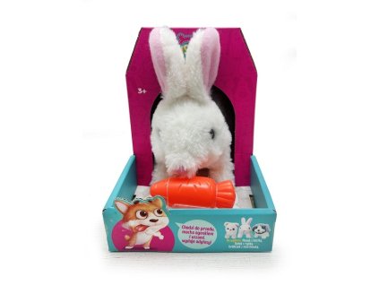 Králik kráča s mrkvou