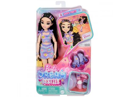 Barbie Dream Besties Renee - bábika na kolieskových korčuliach
