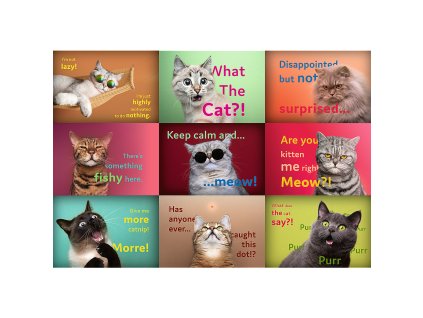 Puzzle - 1500 - Vtipné mačacie portréty - Trefl 26212