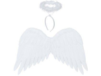 Anjelské krídla 2 kusy 50 x 35 cm Ruhhy 26480