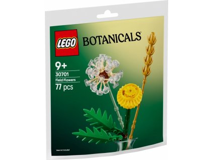 Botanické rastliny 30701 Divoké kvety v29