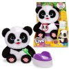 Interaktívny maskot panda od Little Live Pets