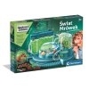 Vedecké zábavné laboratórium Svet mravcov Biotop mravcov Poľský jazyk Clementoni 50394