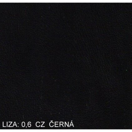 Koženka Liza 06 CZ Černá (Ekokůže)