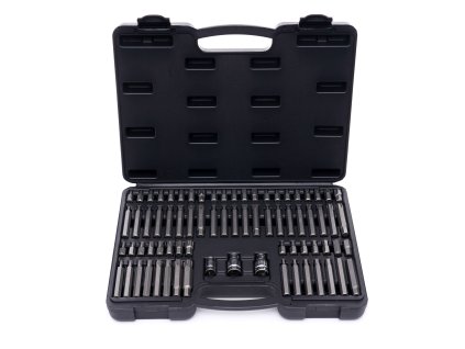 Sada bitů TORX, RIBE, SPLINE, IMBUS 75ks KD10954