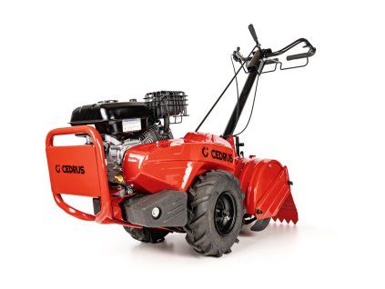 16285 cedrusgl03pro b s 01