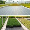 Agrotextilie 100 cm x 50 m UV 70g protiplevelová s kotvami černá